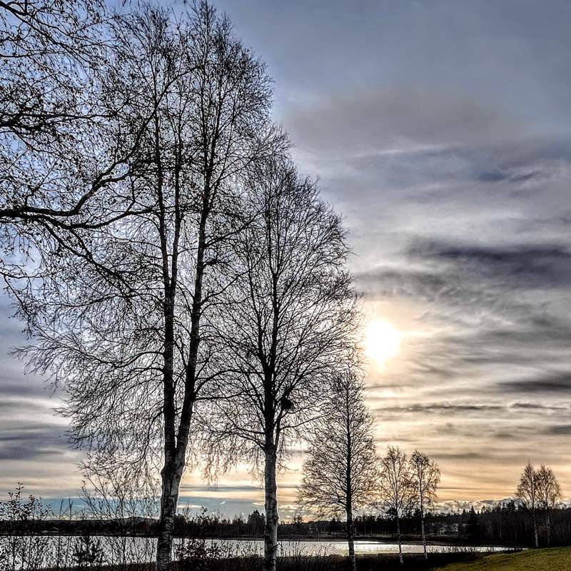 Autumn’s lovely colors logo