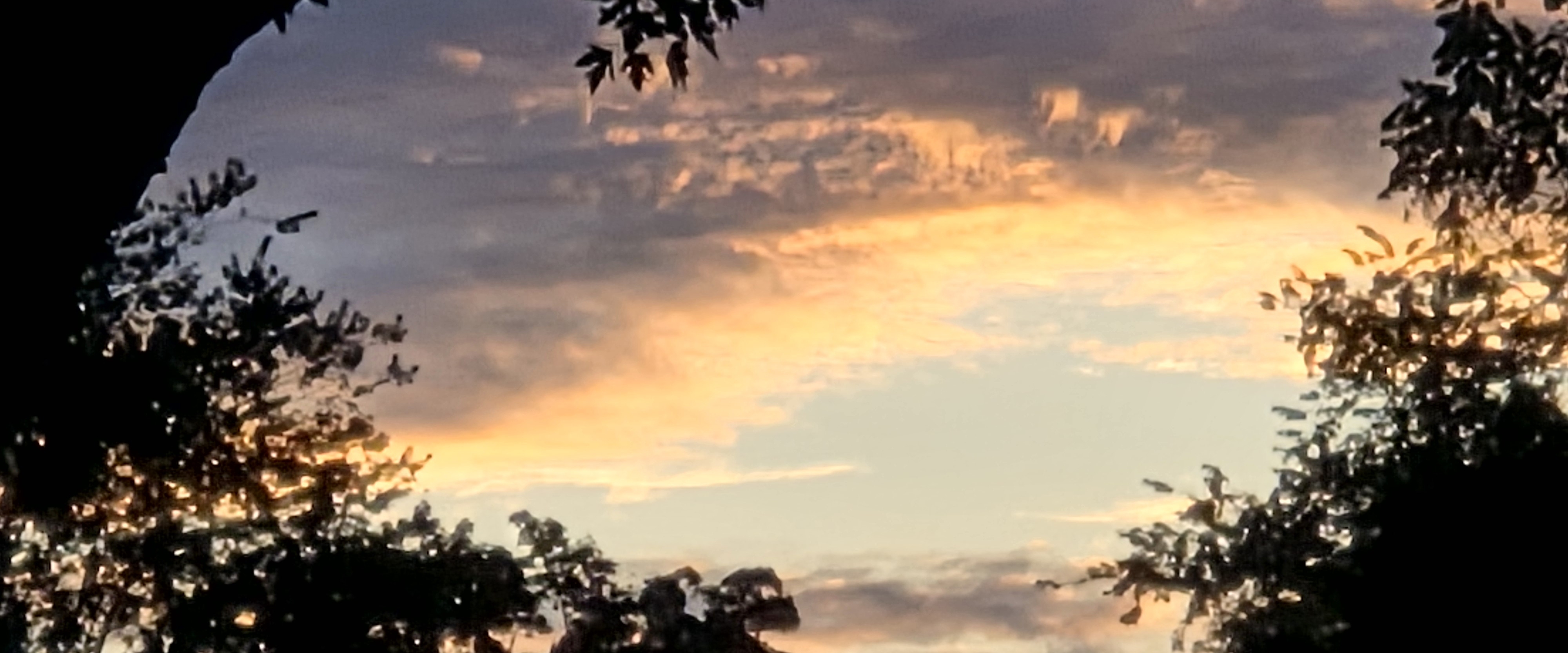 Happy laughing times😂😜😂🌺 banner