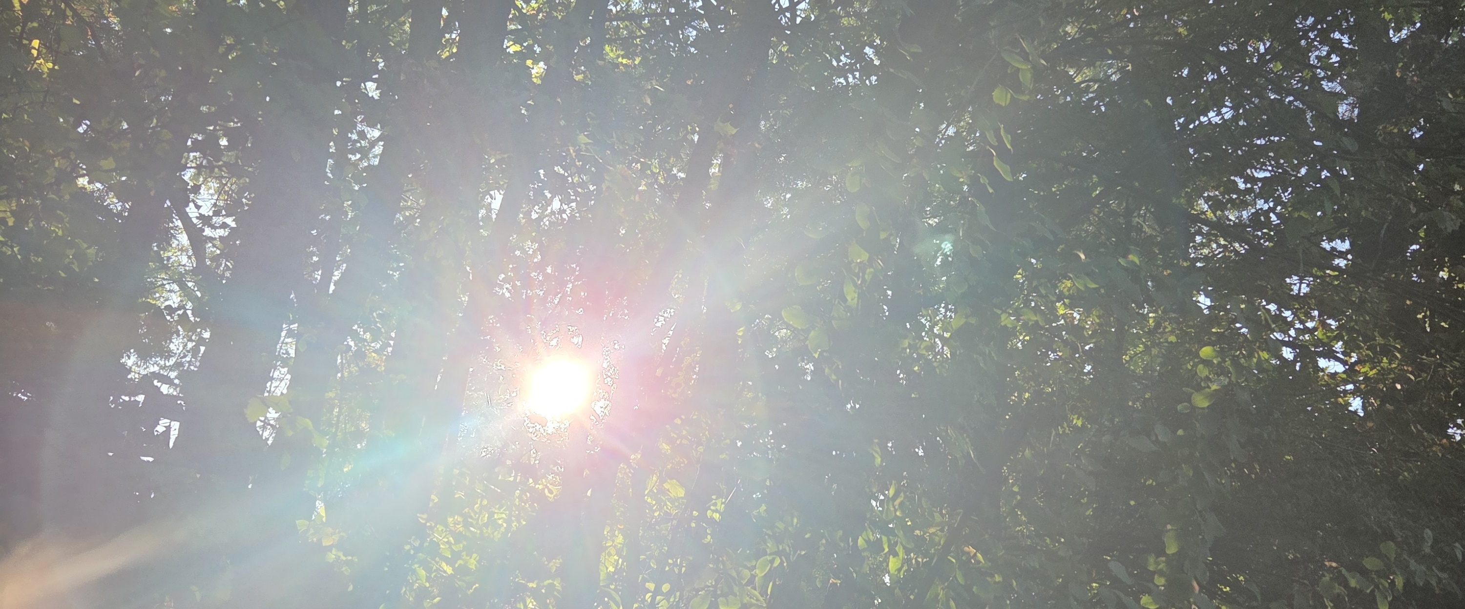 💯PACE NOT RACE💯 banner