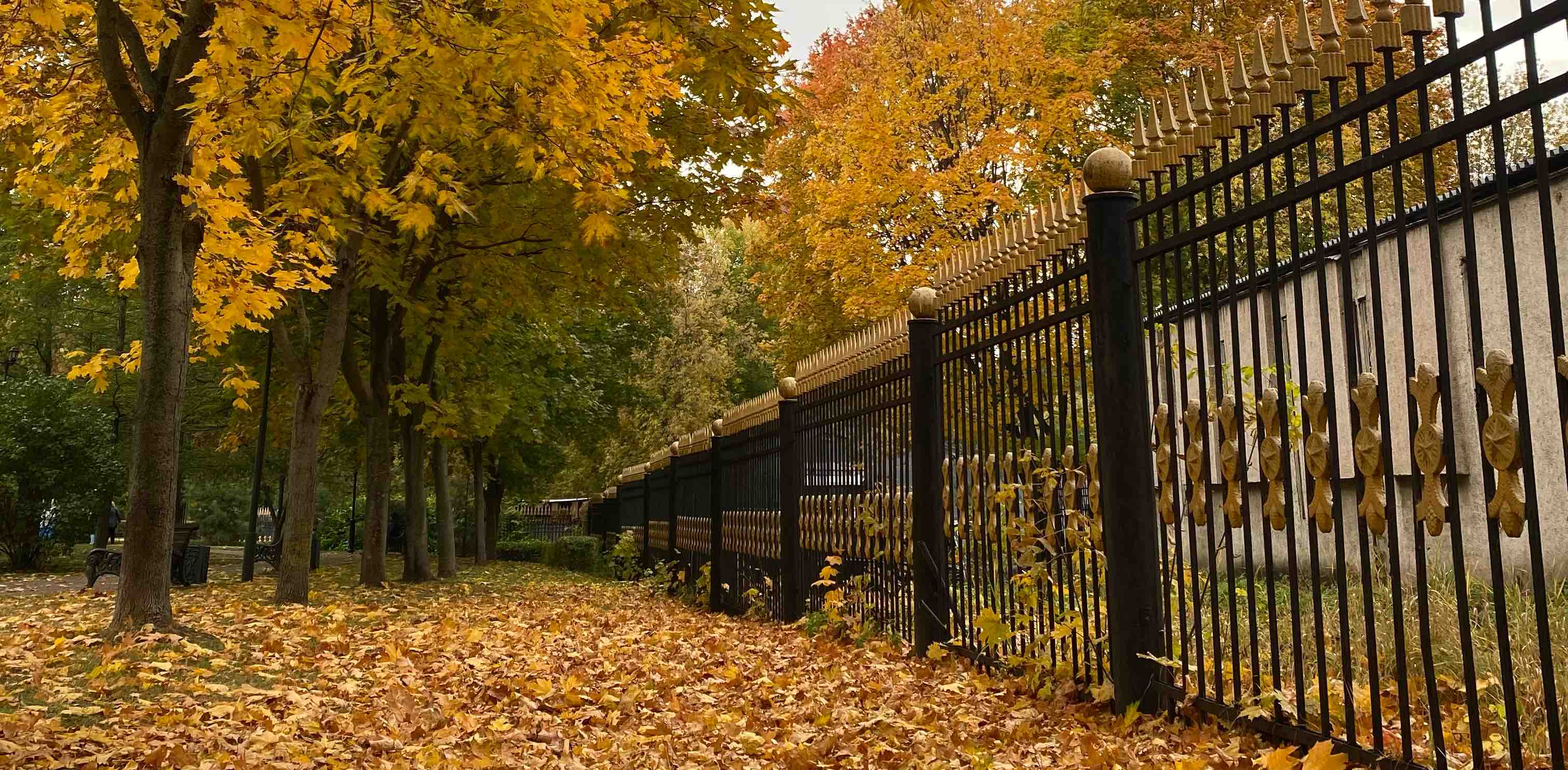 Мамочки banner