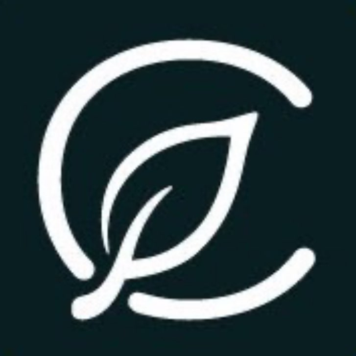 Curaleaf FL D1 Dream Team logo