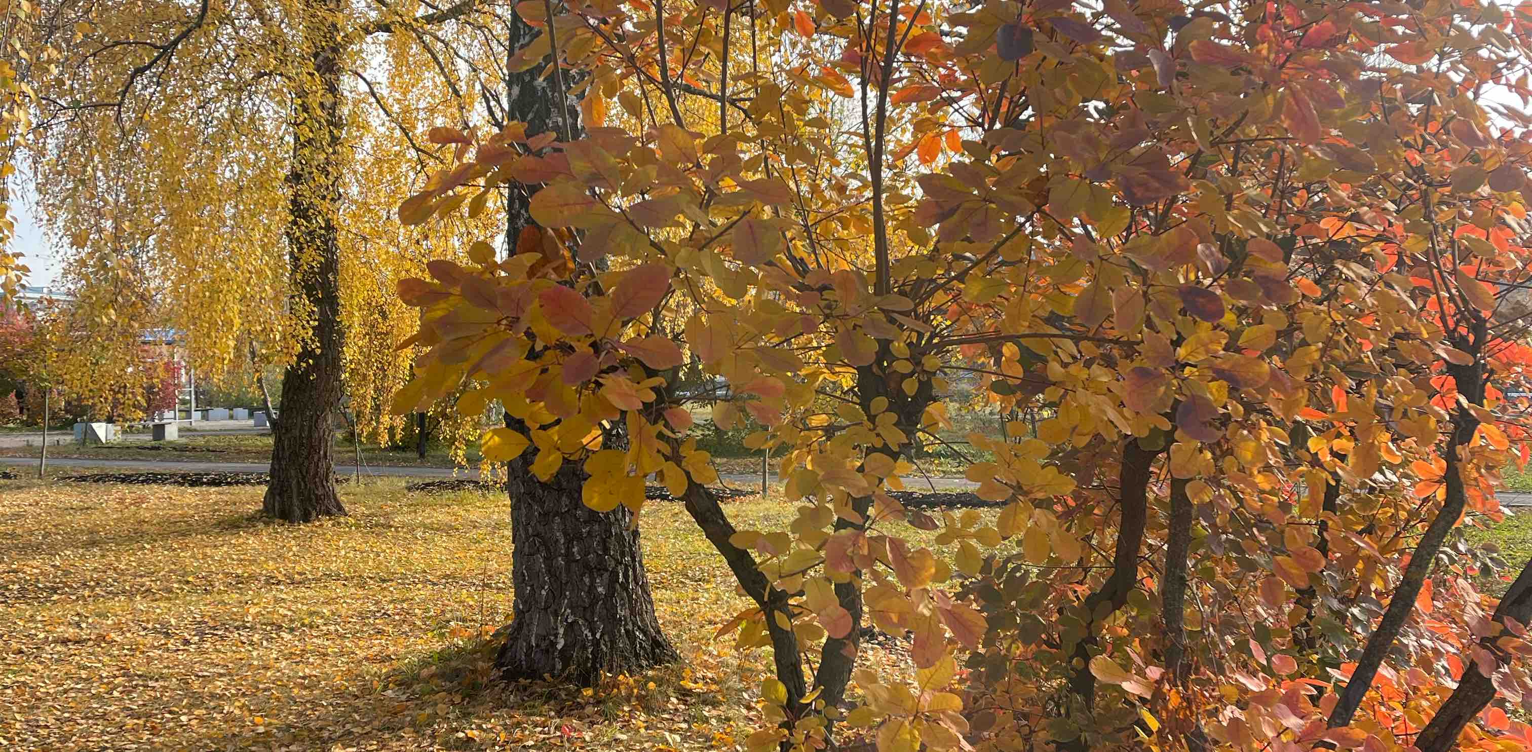 Ходим и здоровеем ✅ banner