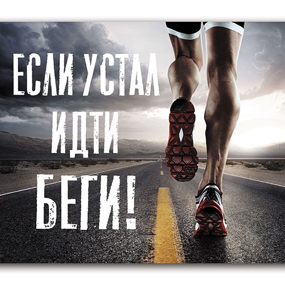 👟Шаганутые в Коломне 🏰 profile