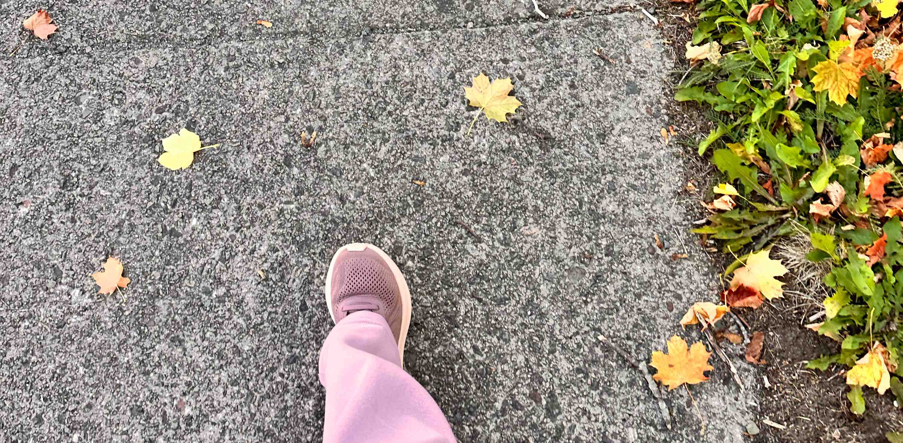 ✨Her Neuro Studio✨ banner