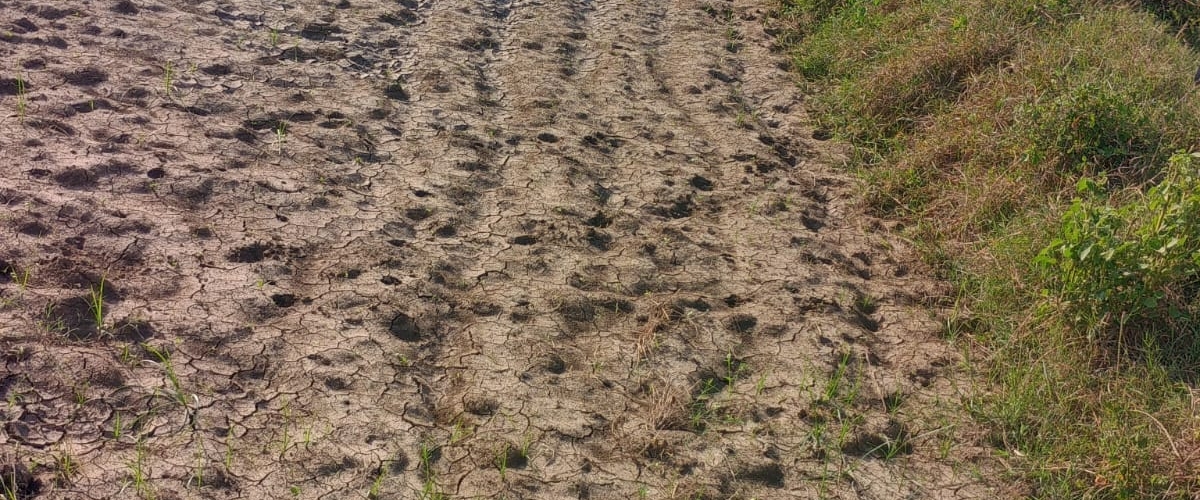 Lko_Sudhir's friends banner