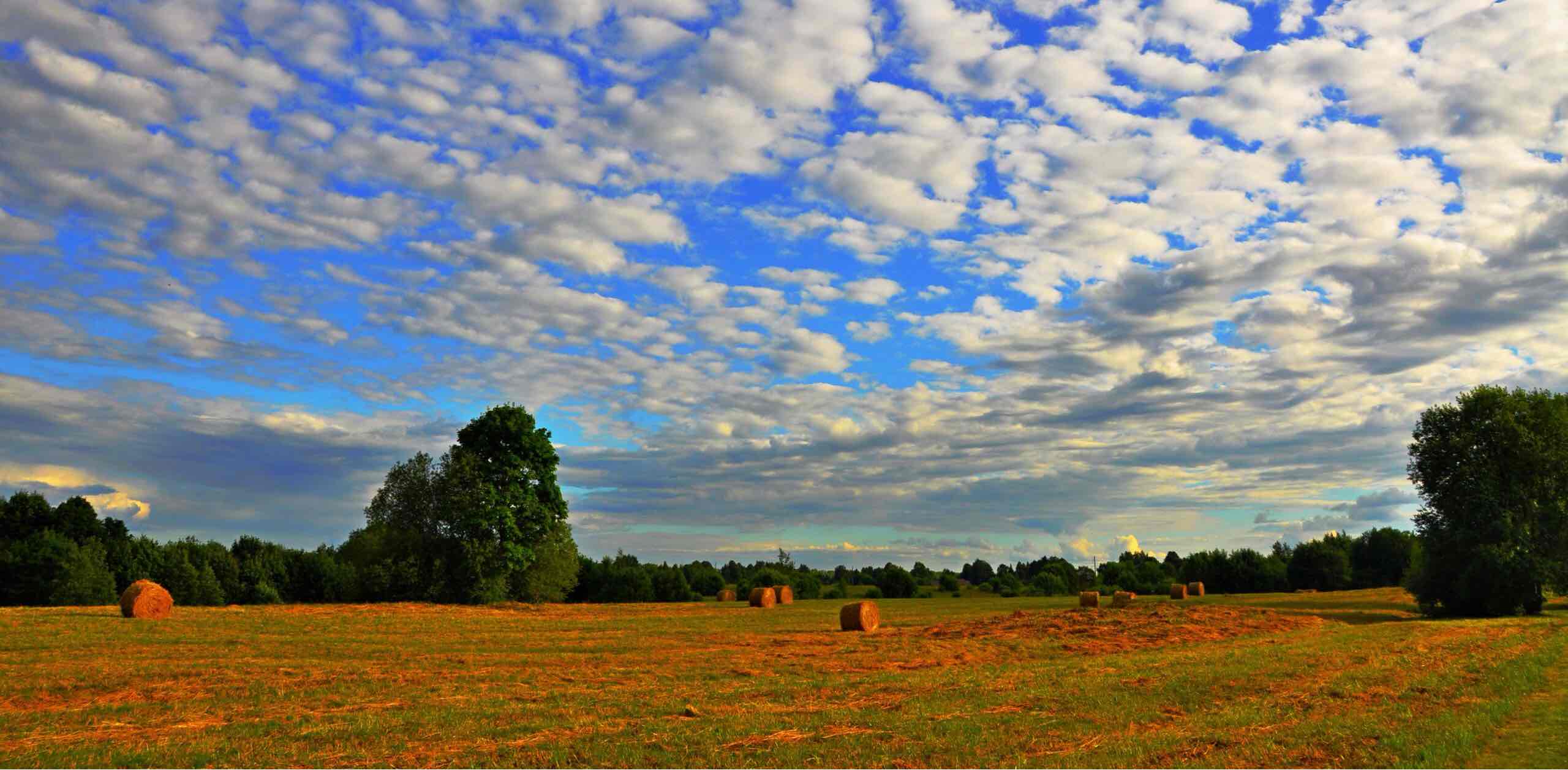 Вперёд и с песней banner