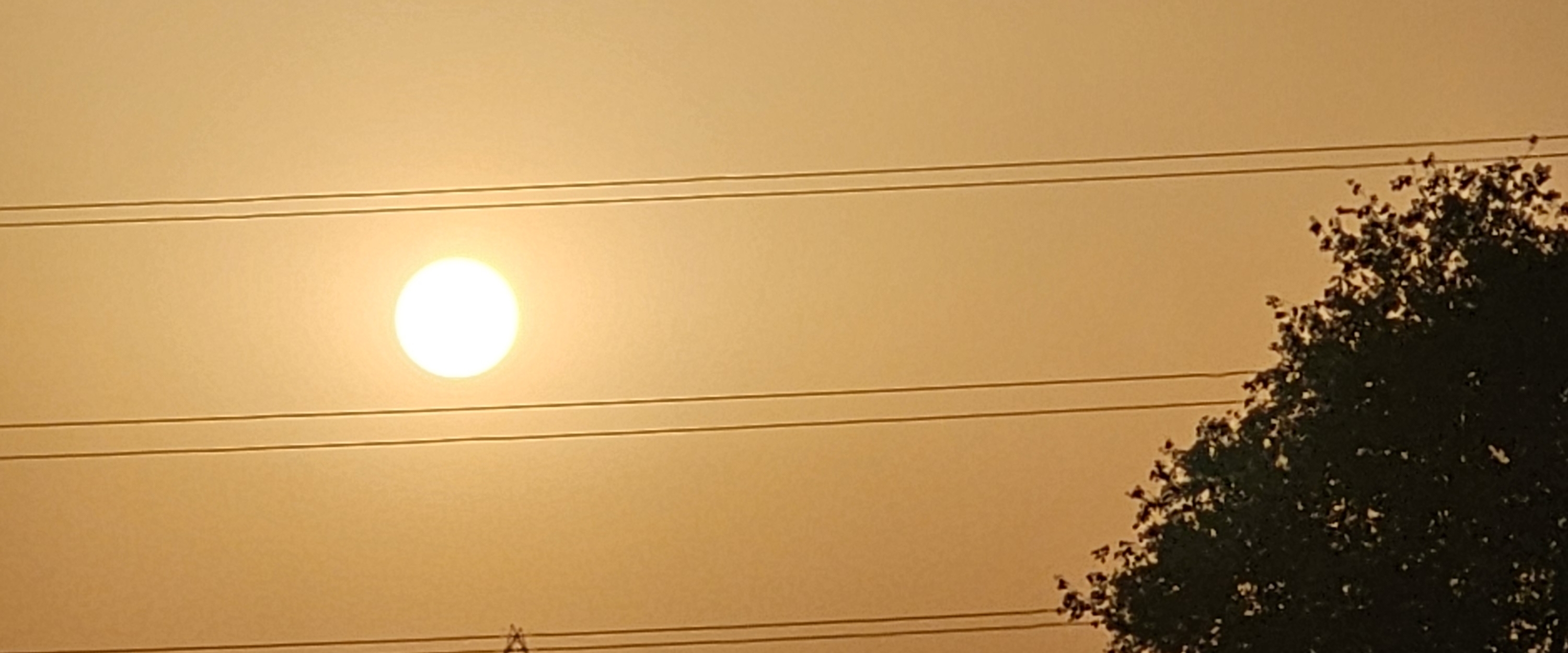 Motuchongumongu banner