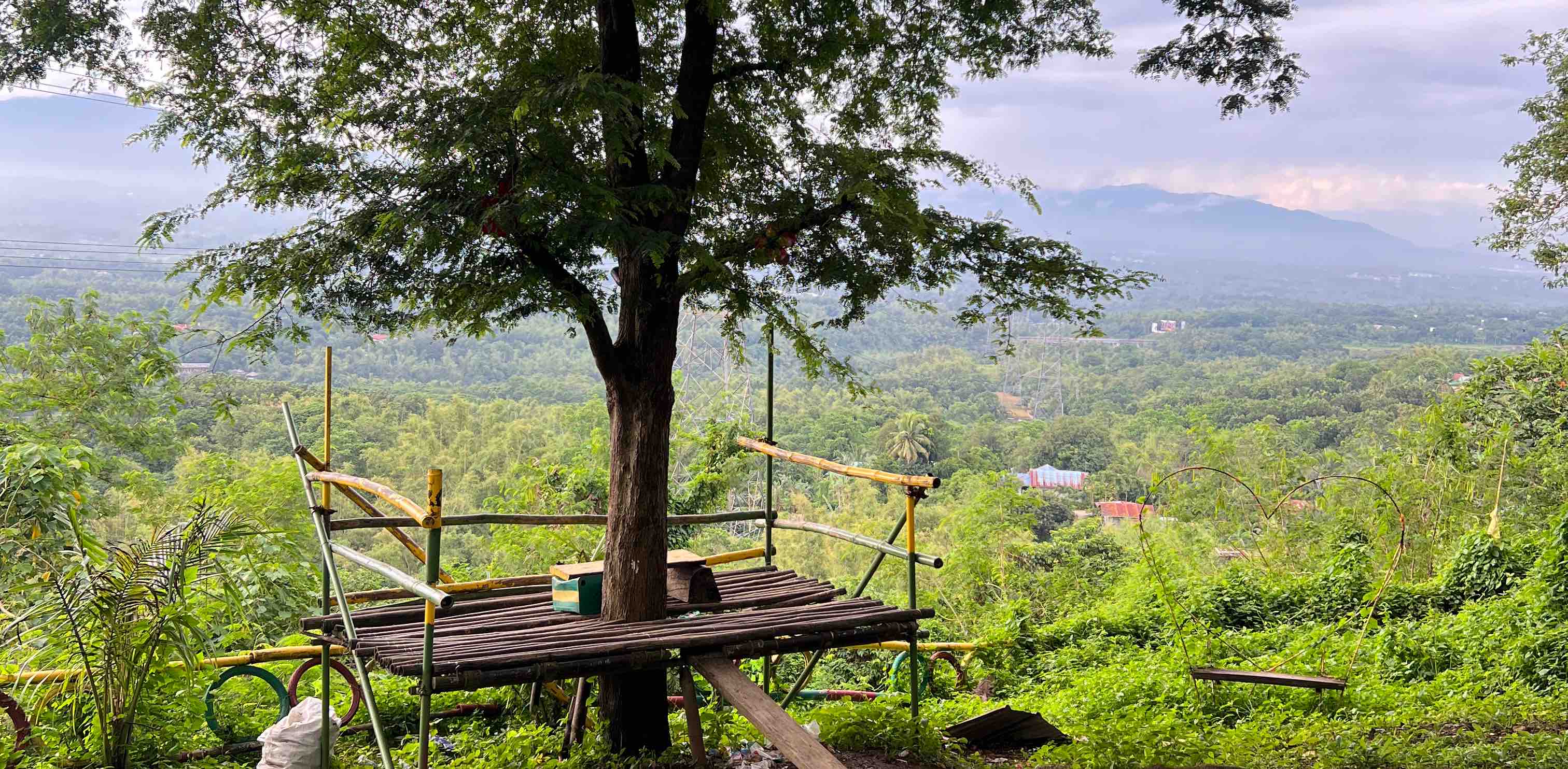 Family 2025 ✨ banner