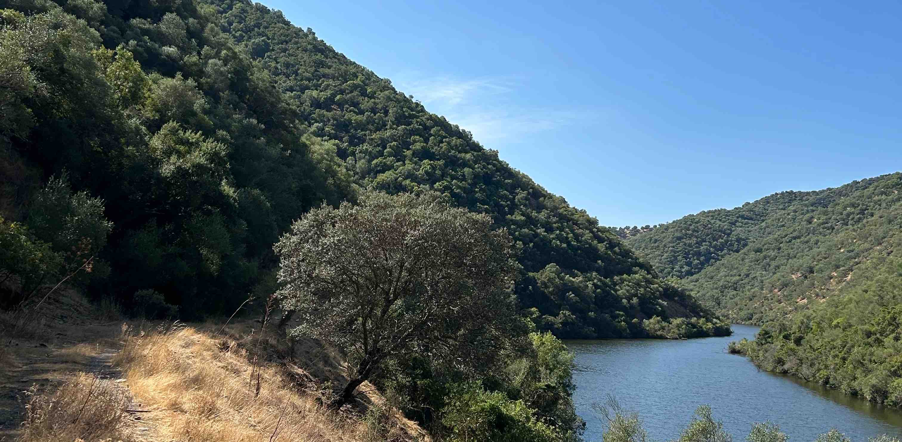 Los incansables banner