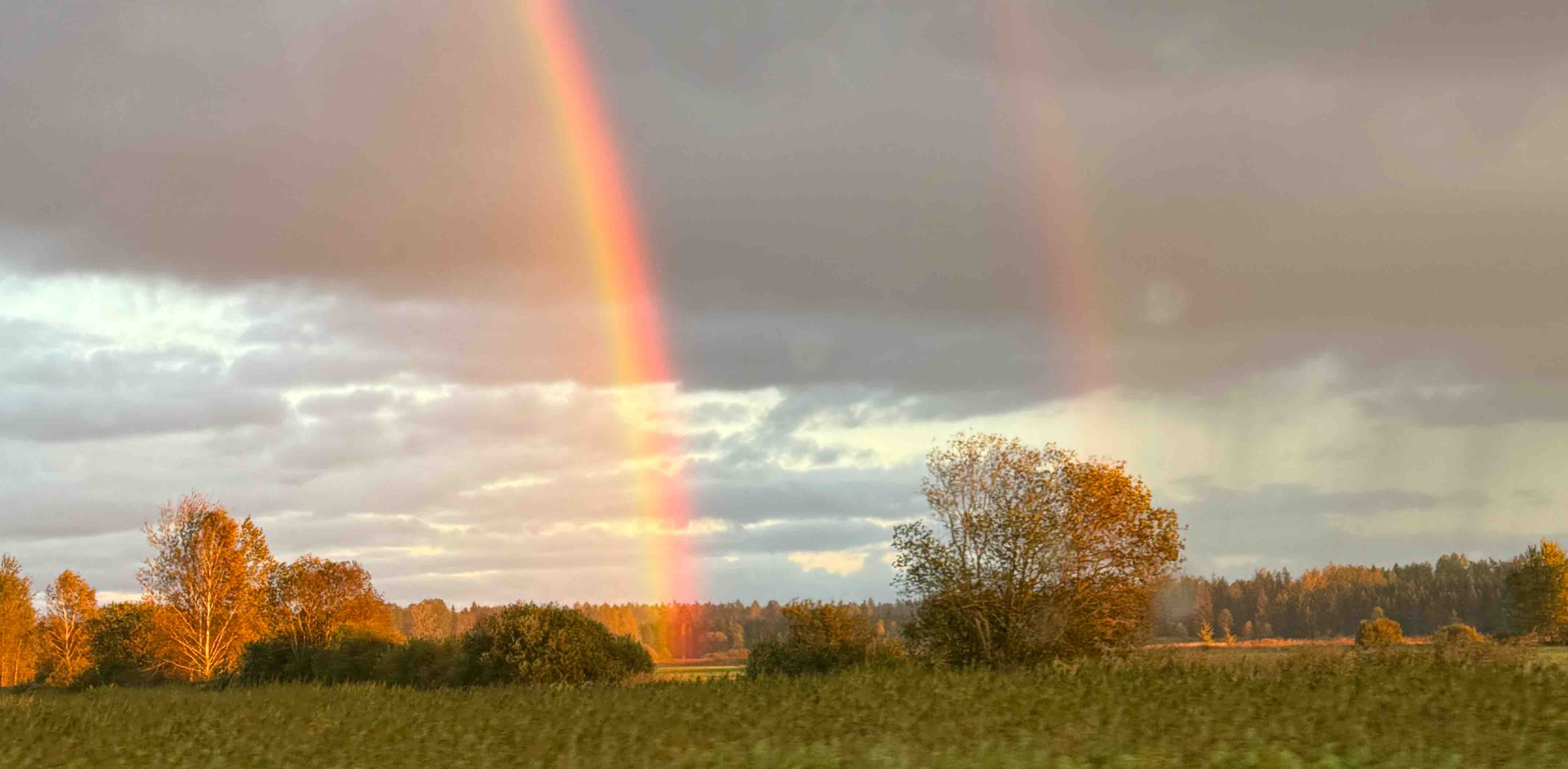 Anonīmie staigātāji😹 banner