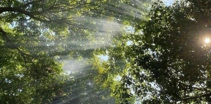 طريق 🌿 banner