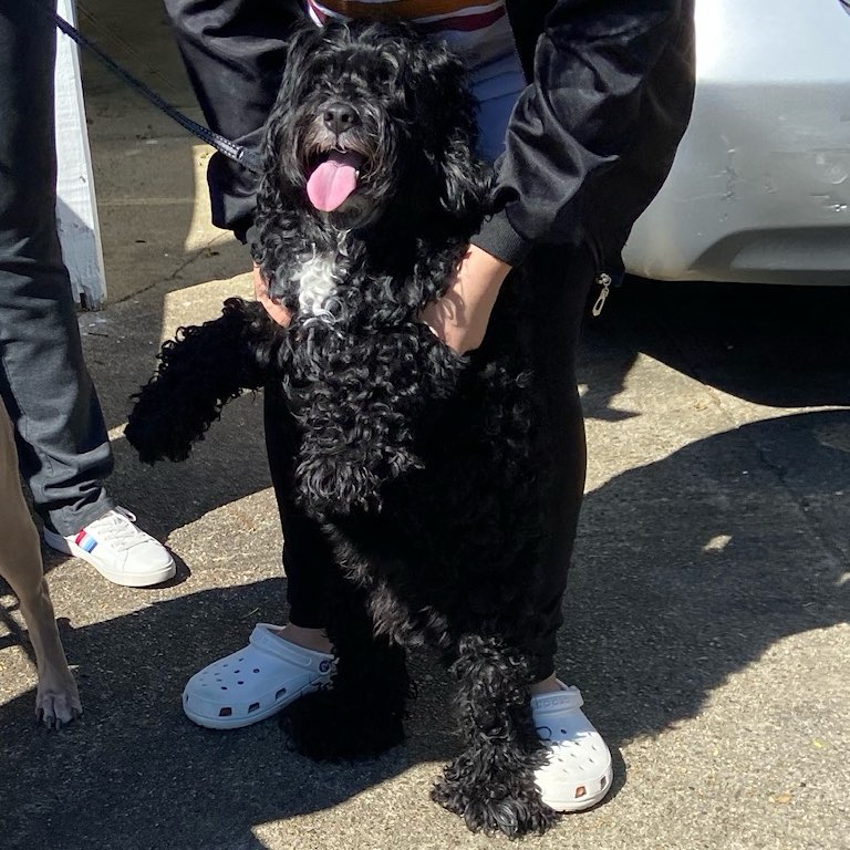 MARY AND JOHNNIES CREW🌳💪🏽♥️ logo