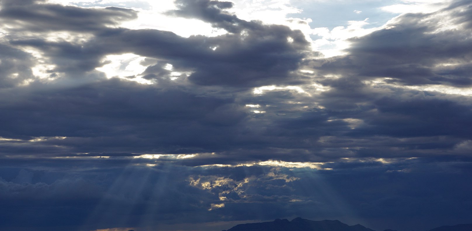 MARY AND JOHNNIES CREW🌳💪🏽♥️ banner