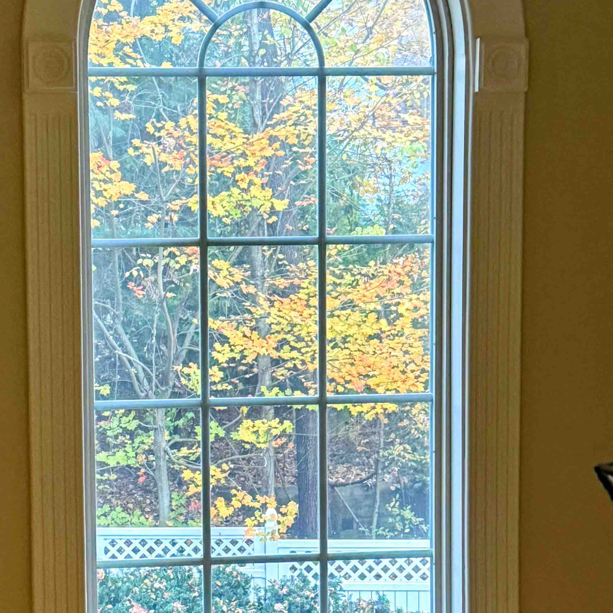 Twin challenge  logo