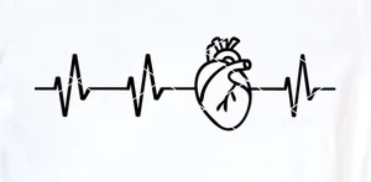 Cardiac Chicks banner