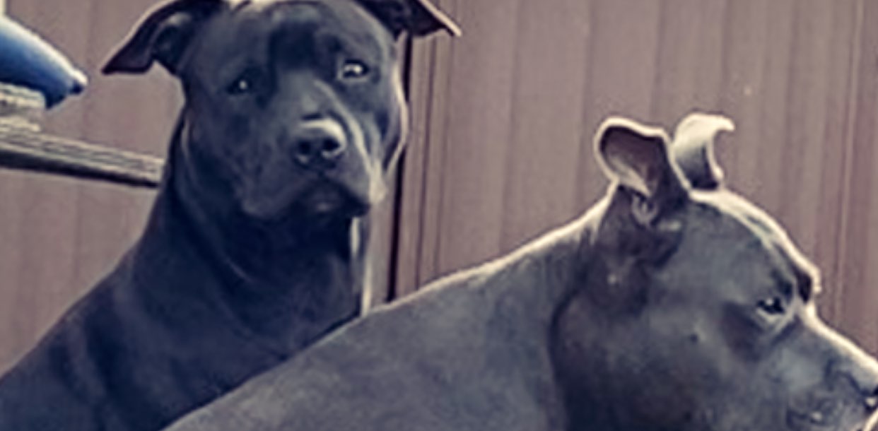 Tully Roy’s banner