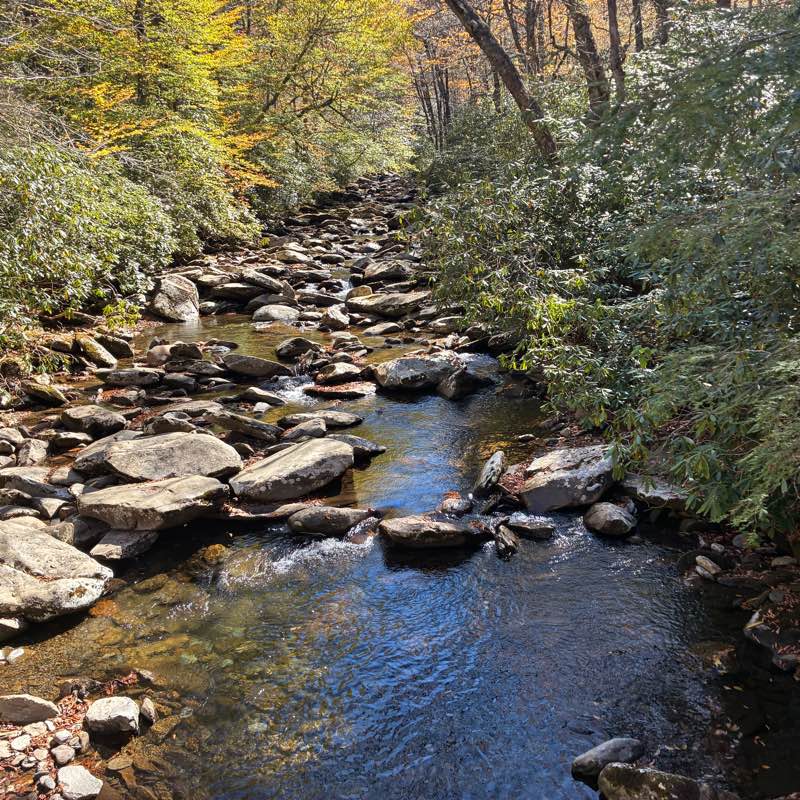 Motivation & Having Fun Walkin logo