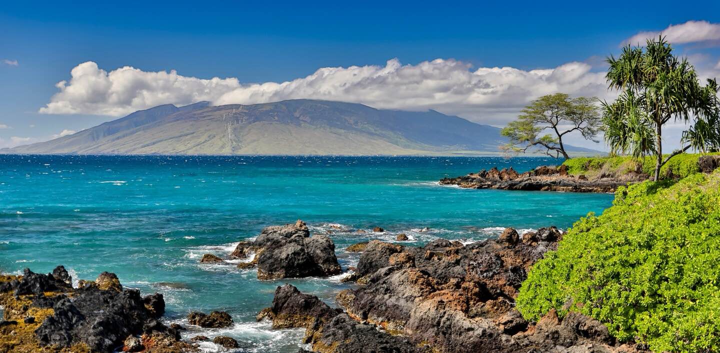 Miles for Maui banner