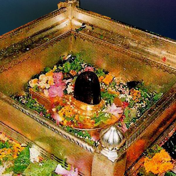 Mishra’s fitness club logo