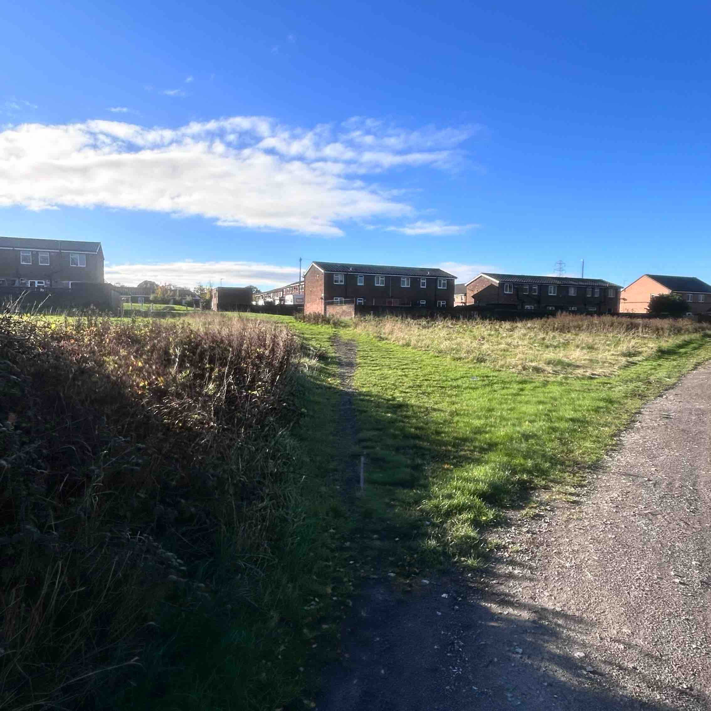 Walking your weight off logo