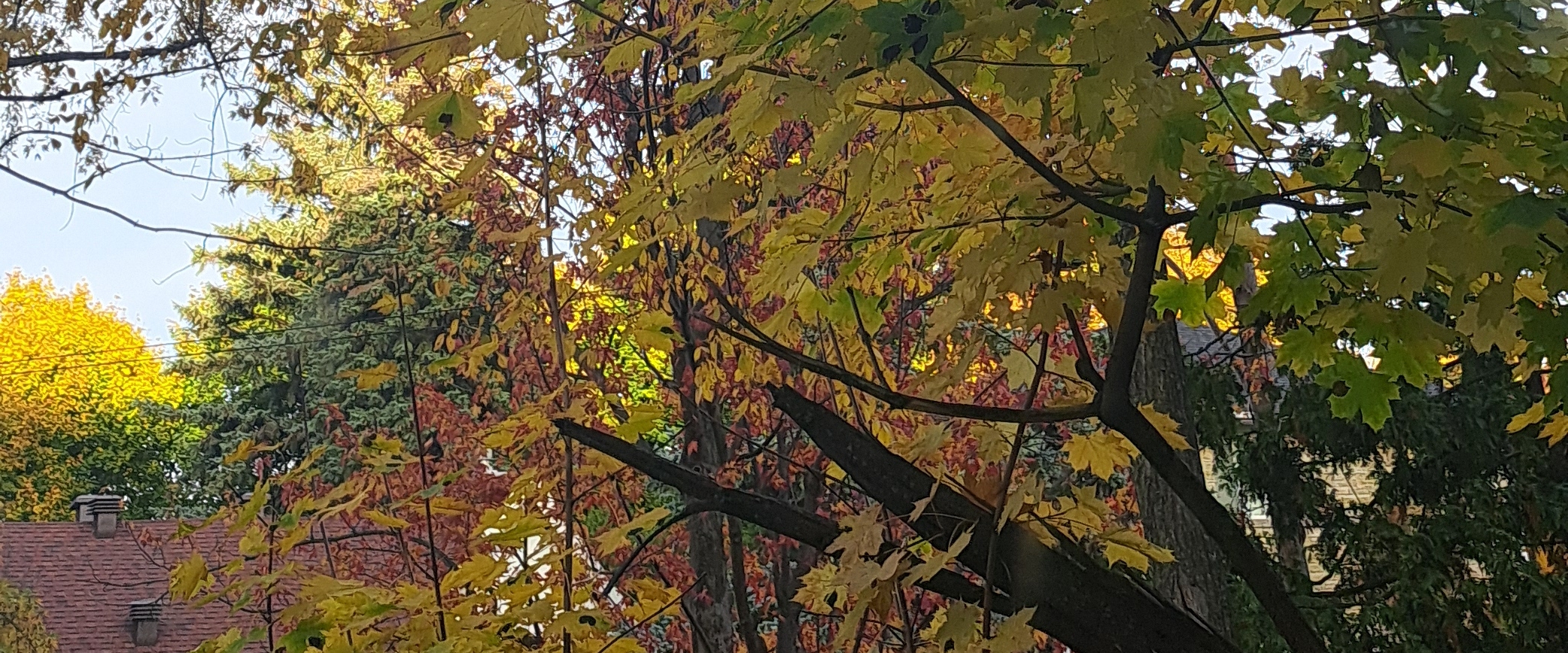 Friends of stephyyy.b2202 banner