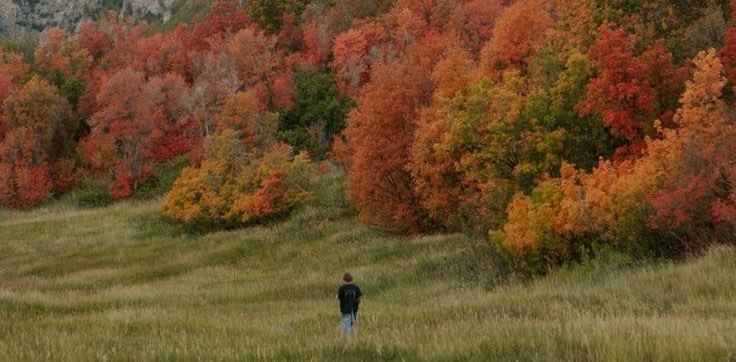 шагаем 🤸🏽 banner