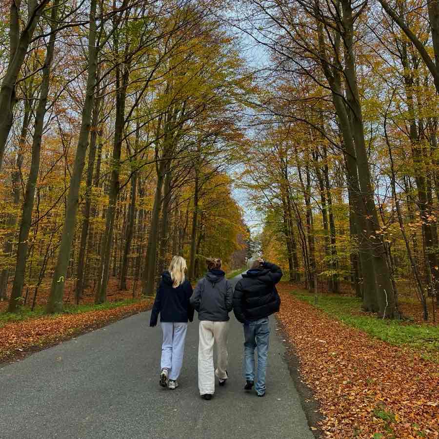 шагаем 🤸🏽 logo