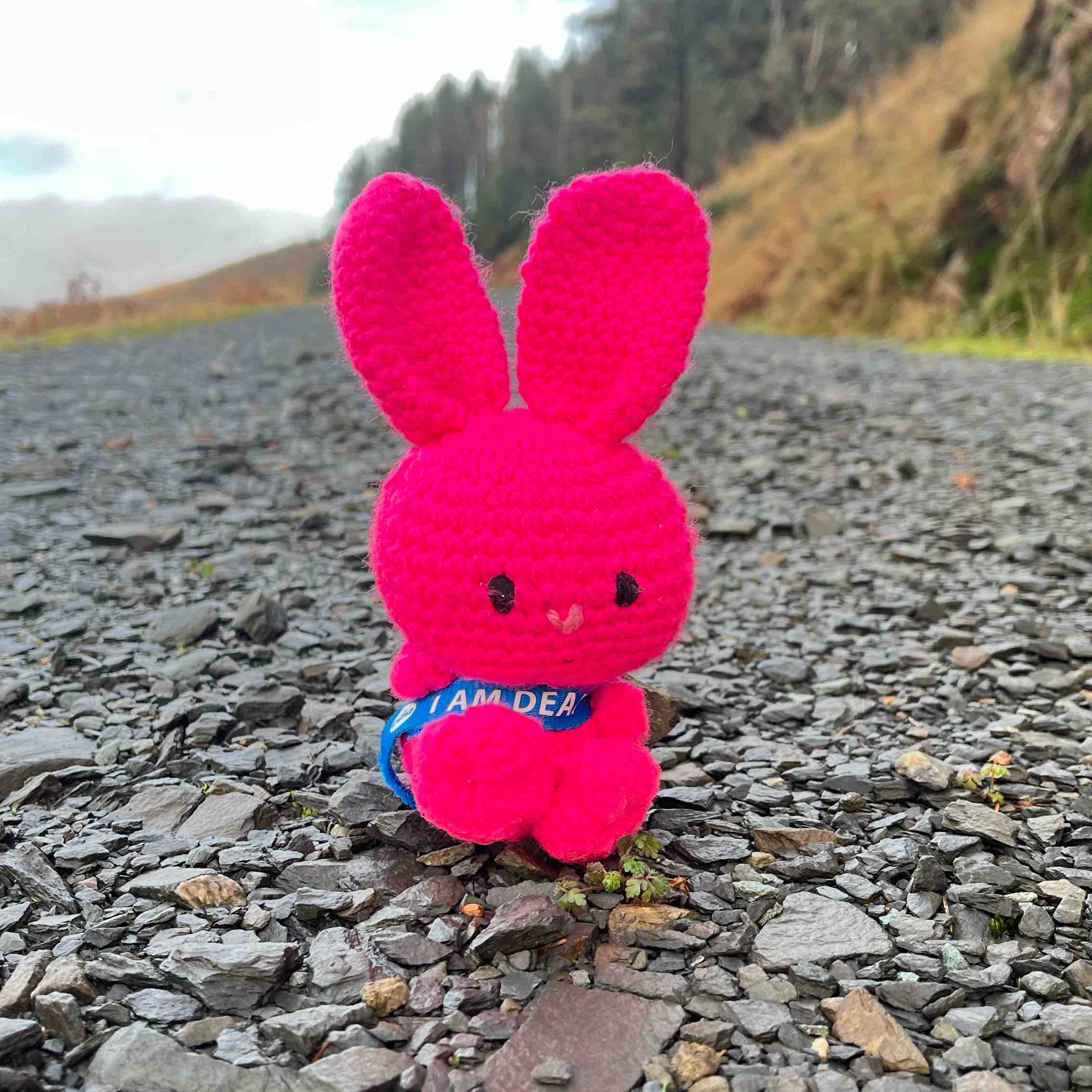 Deaf Woman Walking with Penny logo