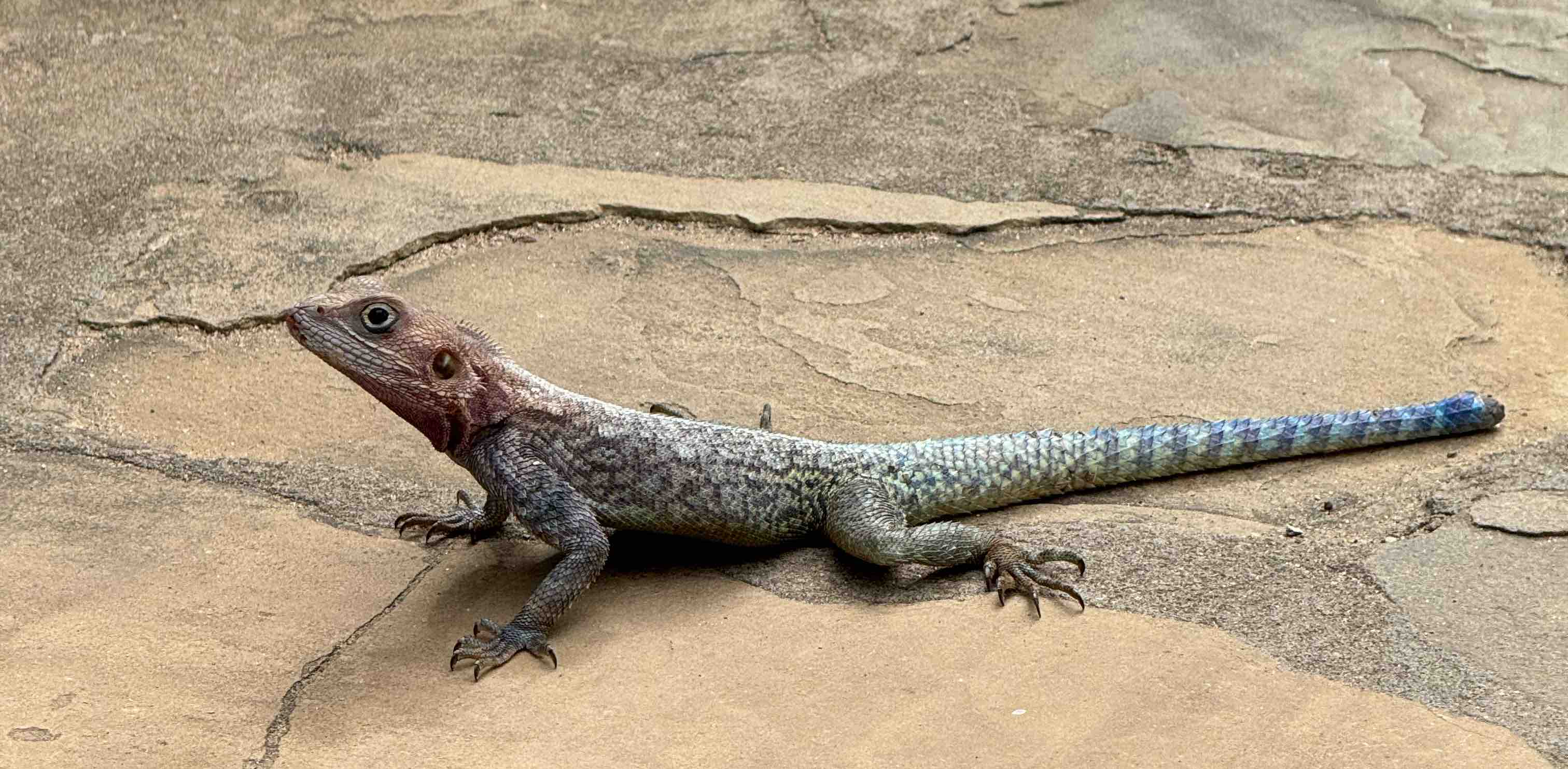 後悔しない banner