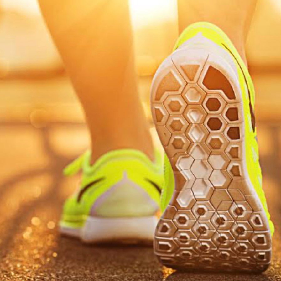 Гуляки-собаки logo