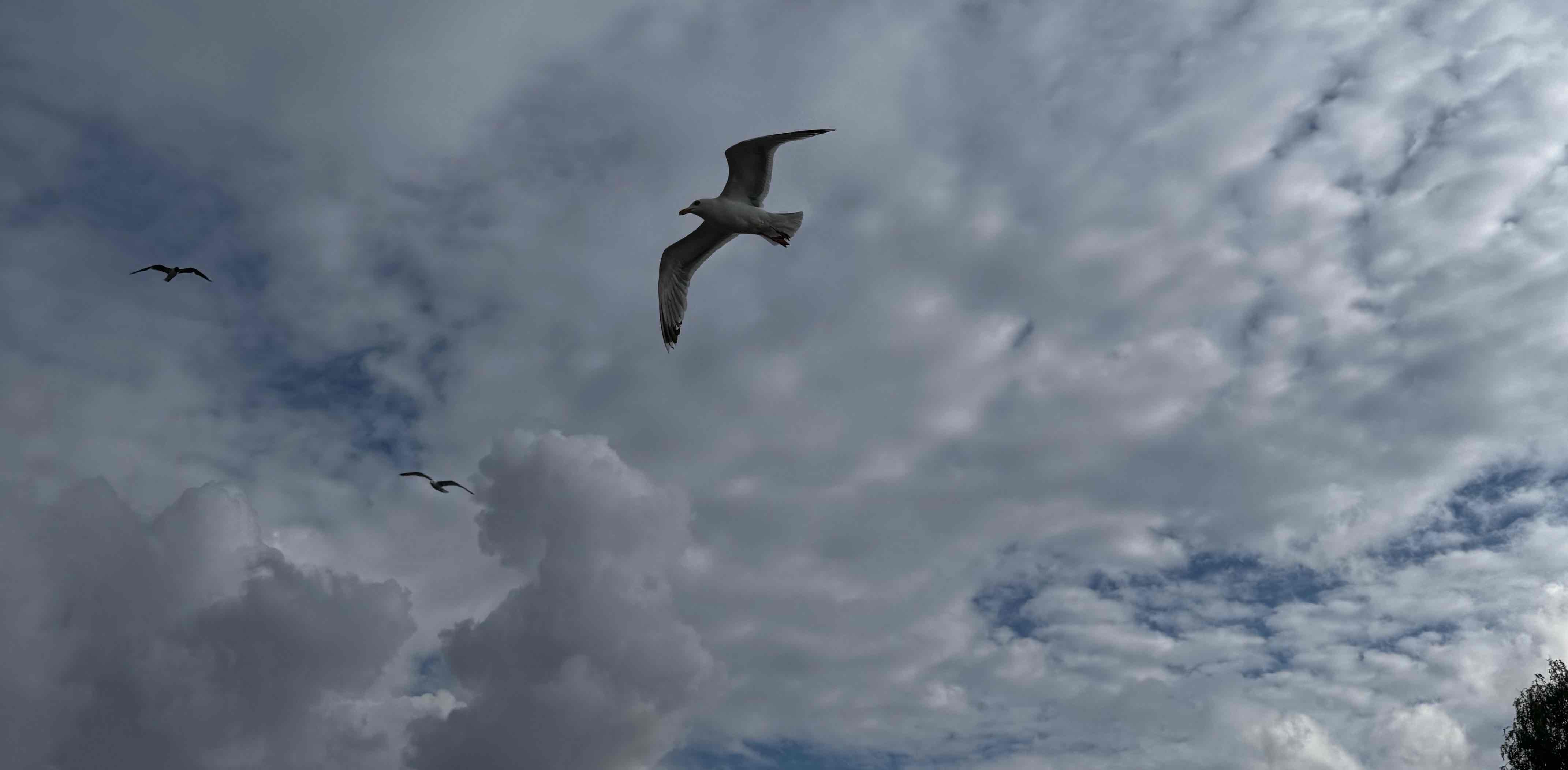 Ostseeküste 🦦 banner