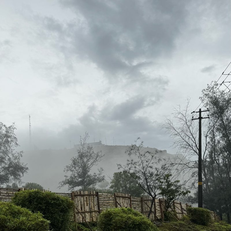 Friends on Foot logo