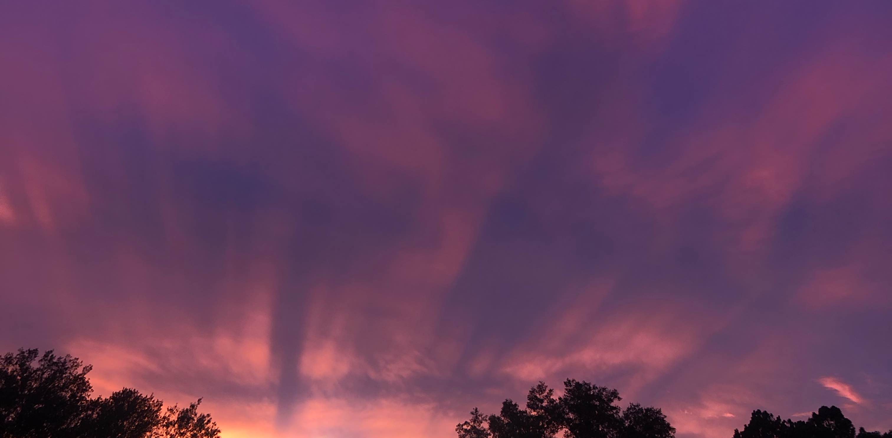 That’s Life banner