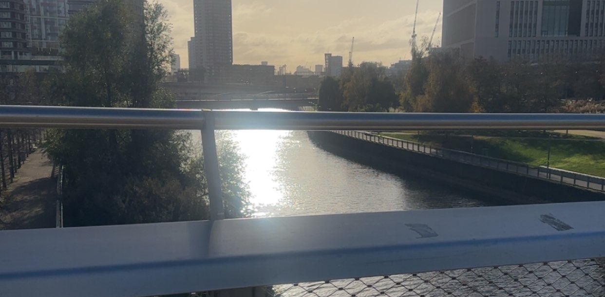 2026 Health is Wealth banner