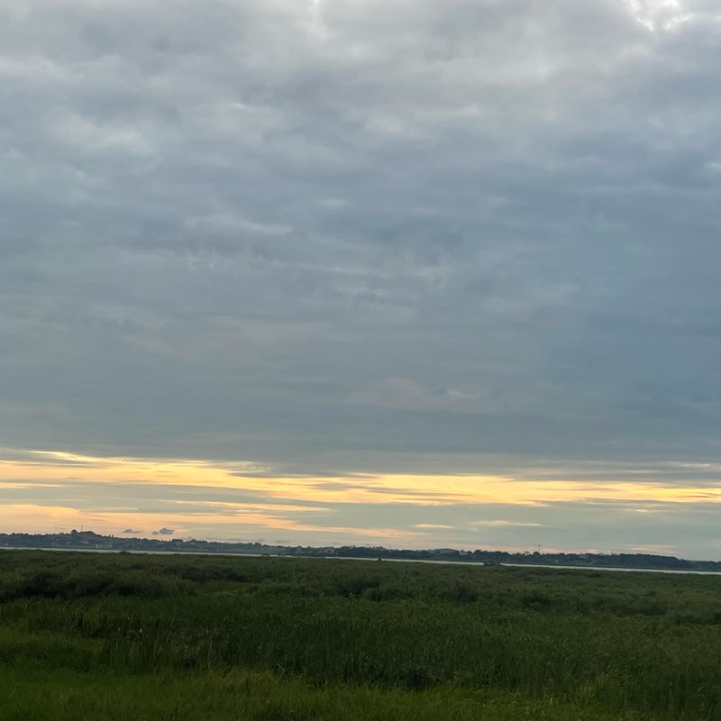 Celebrate Life 🌍 logo