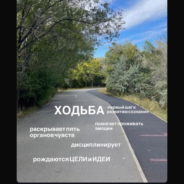 НАСТАВНИК 7 logo