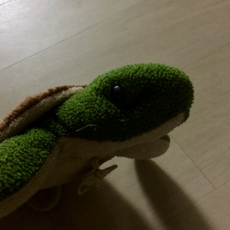 Yegeon’s walking group logo