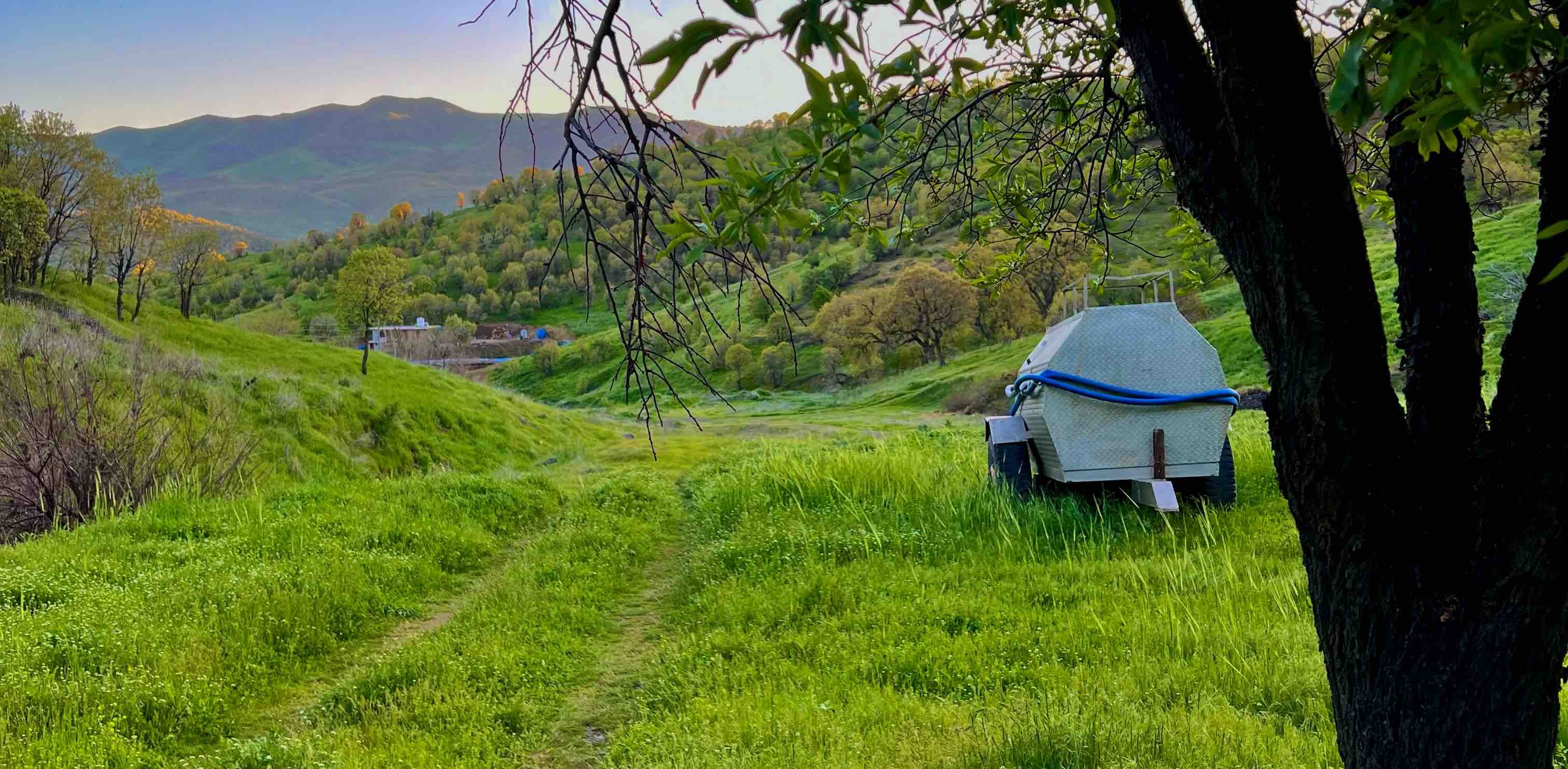 سەرکێشی🏃🏻‍♂️🚶‍➡️🏃🏻‍♂️ banner