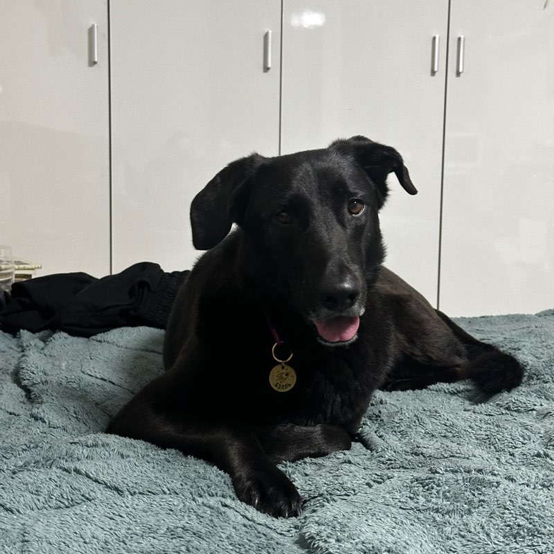 Красотуши logo