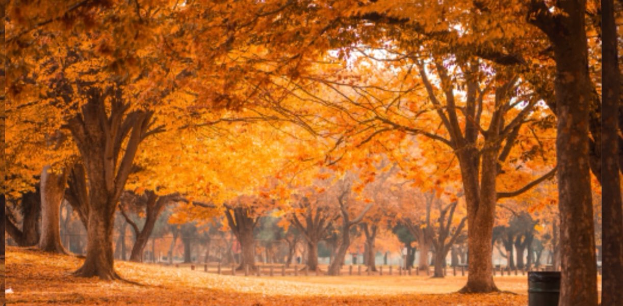 Familia De Dios ✝️ banner