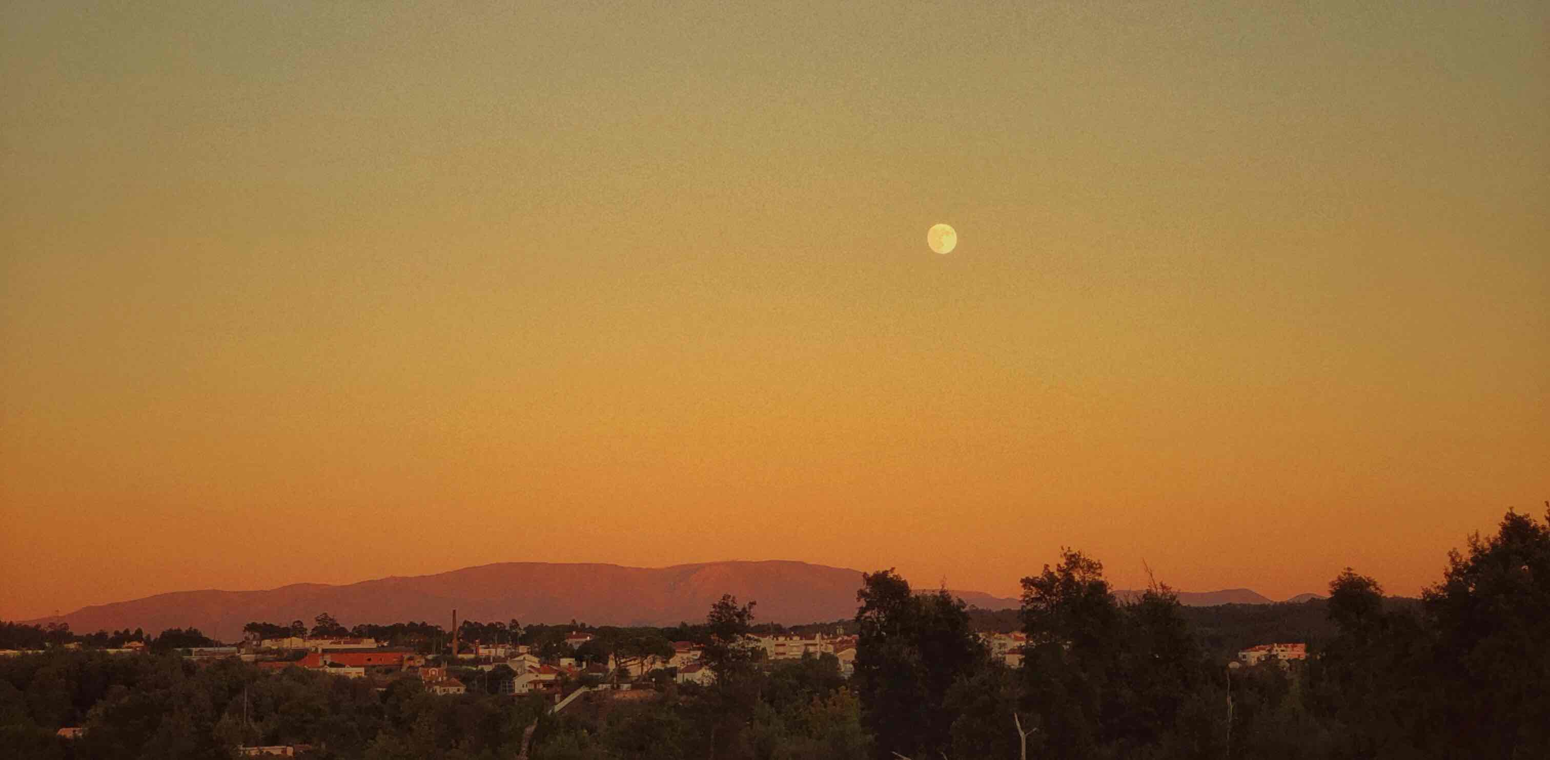 Rota Nova 🗺️🏄🏻 banner