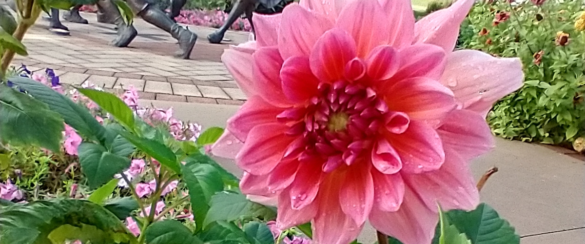 Motivational  movers banner