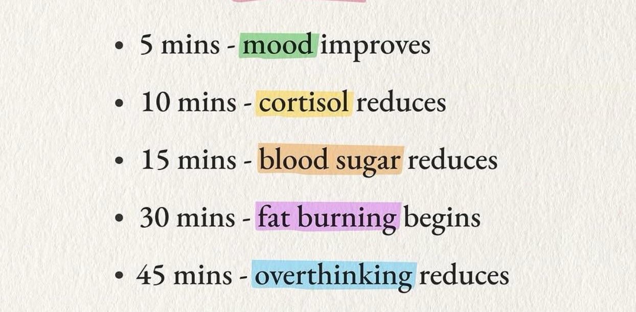 Polar bear walkers banner