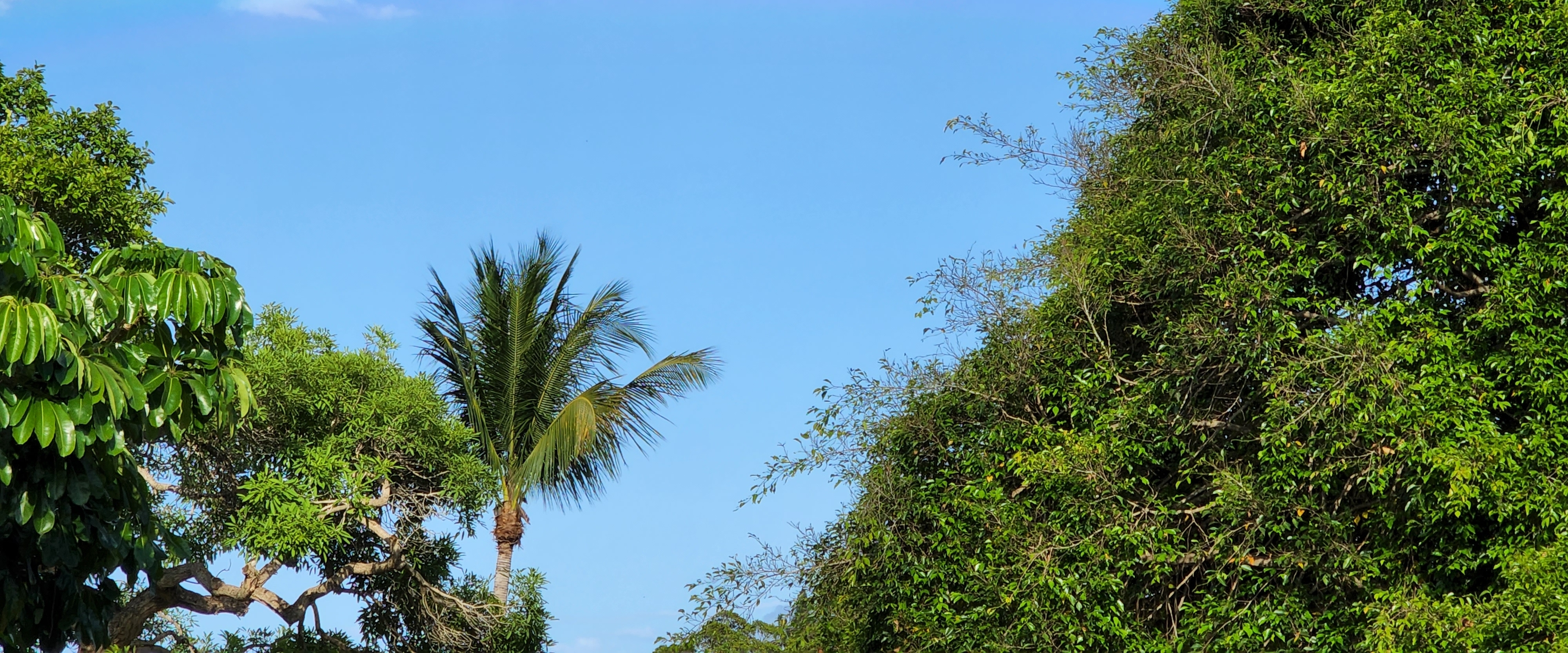 ROK Fitness Cross Platform banner