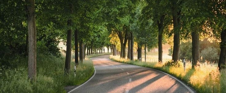 Fit Footprints 👣 banner