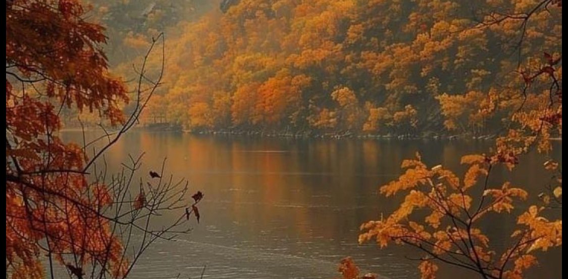 Challenge 💪 banner