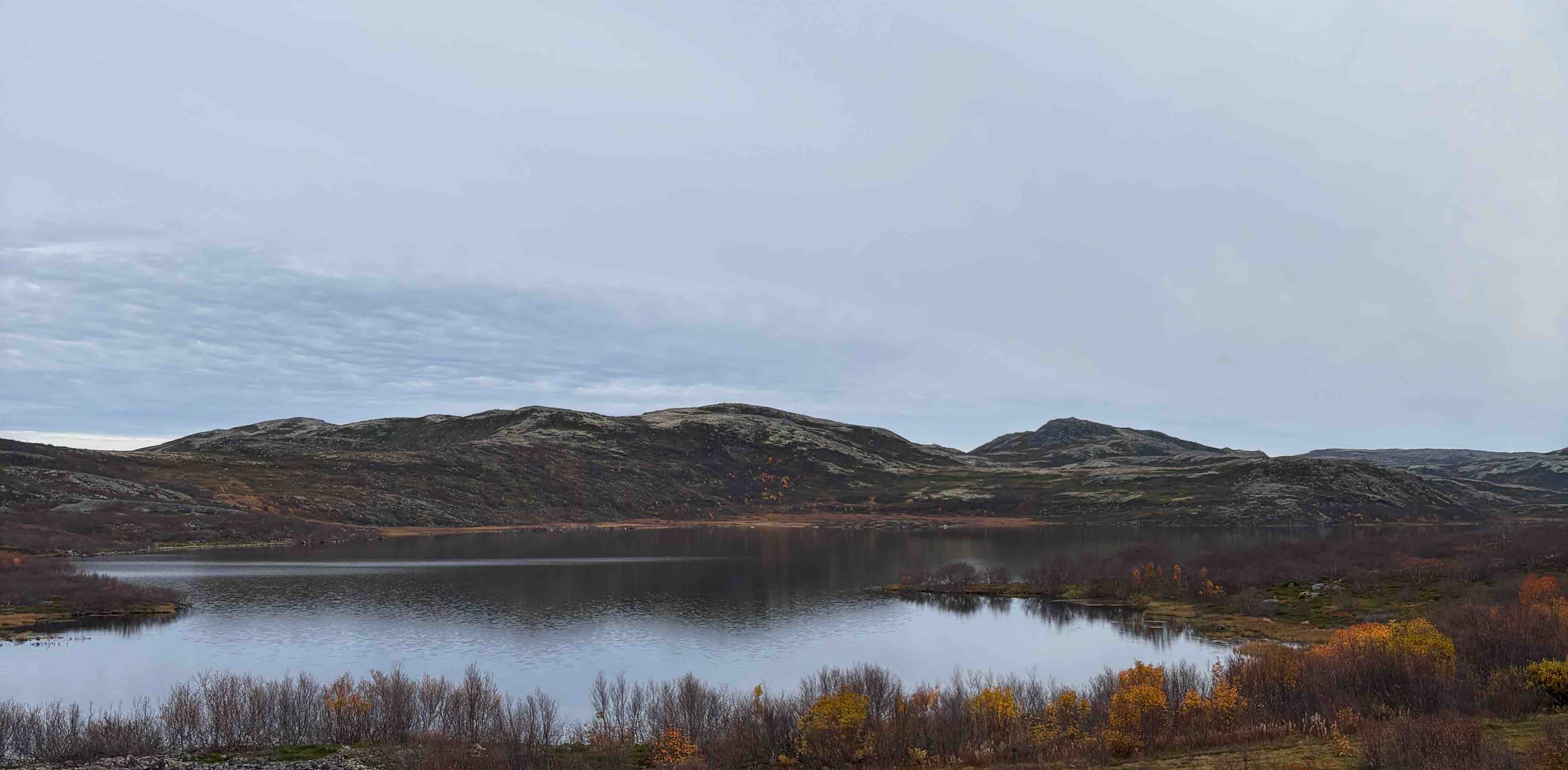 Подружки banner