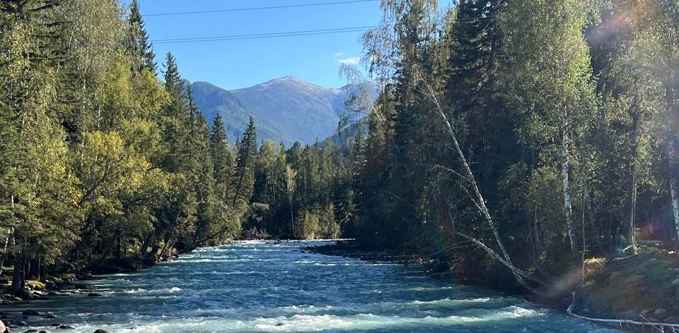 Надя Эл | Осознанная ходьба💛 banner