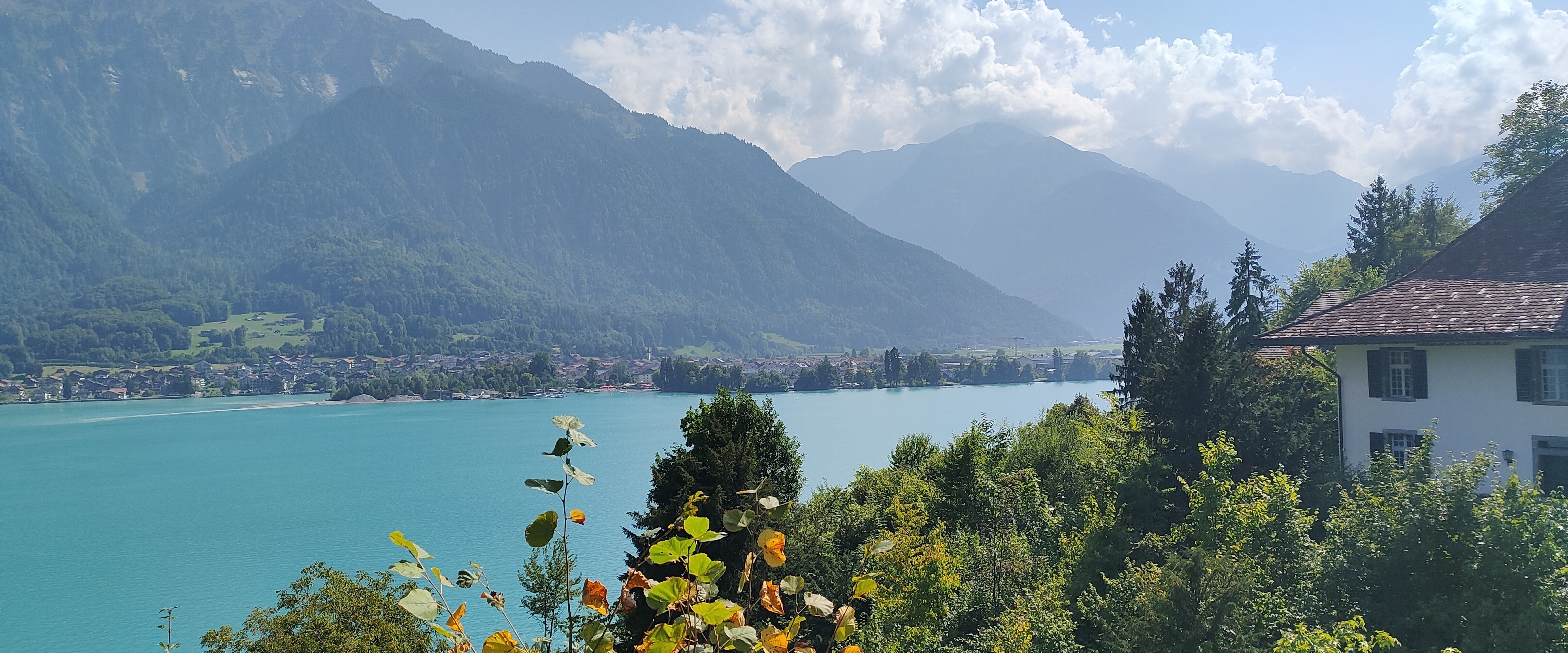 亞大永續第九組 banner