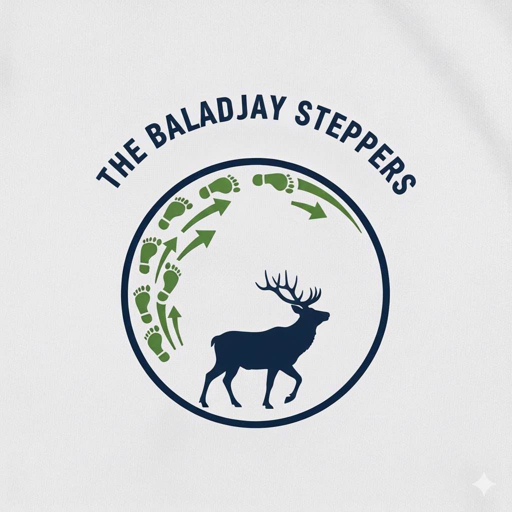 The Baladjay Steppers logo